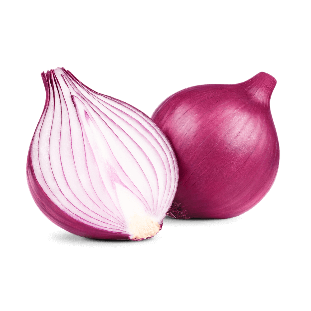 Onion Extract